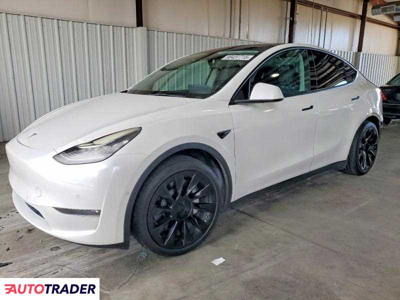 Tesla Model Y 2021