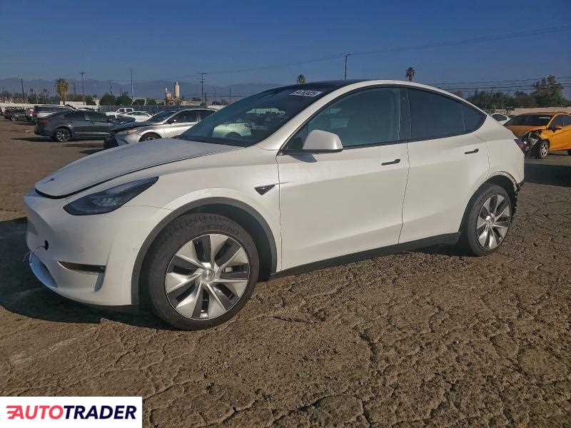 Tesla Model Y 2021