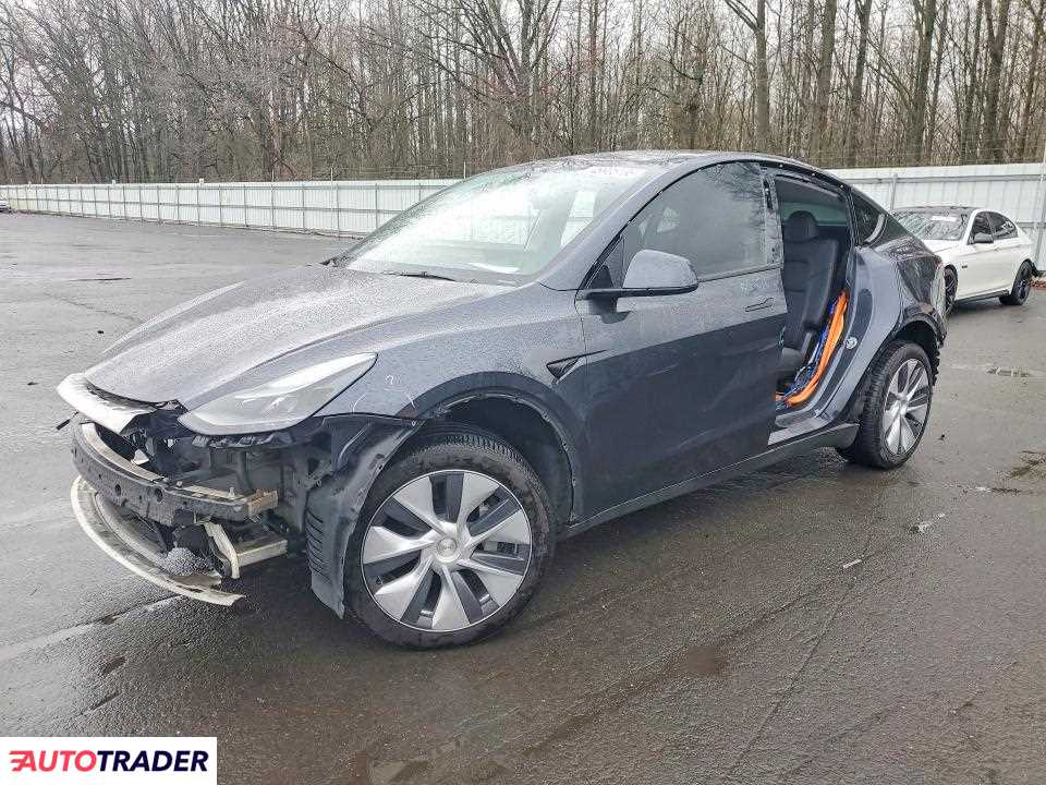 Tesla Model Y 2024