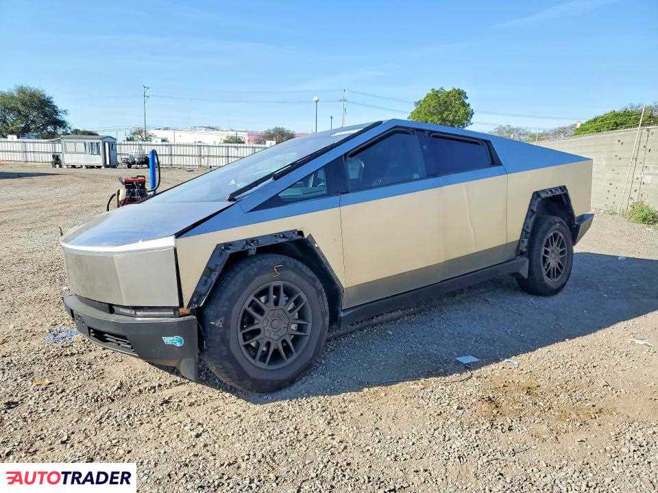 Tesla Pozostałe 2024