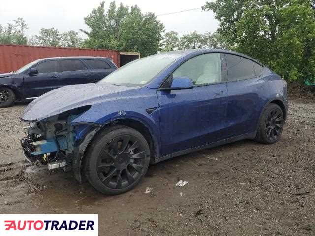 Tesla Model Y 2021 Tesla Model Y 2021