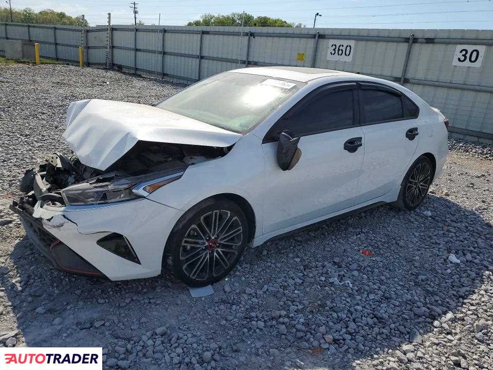 Kia Pozostałe 2024 1