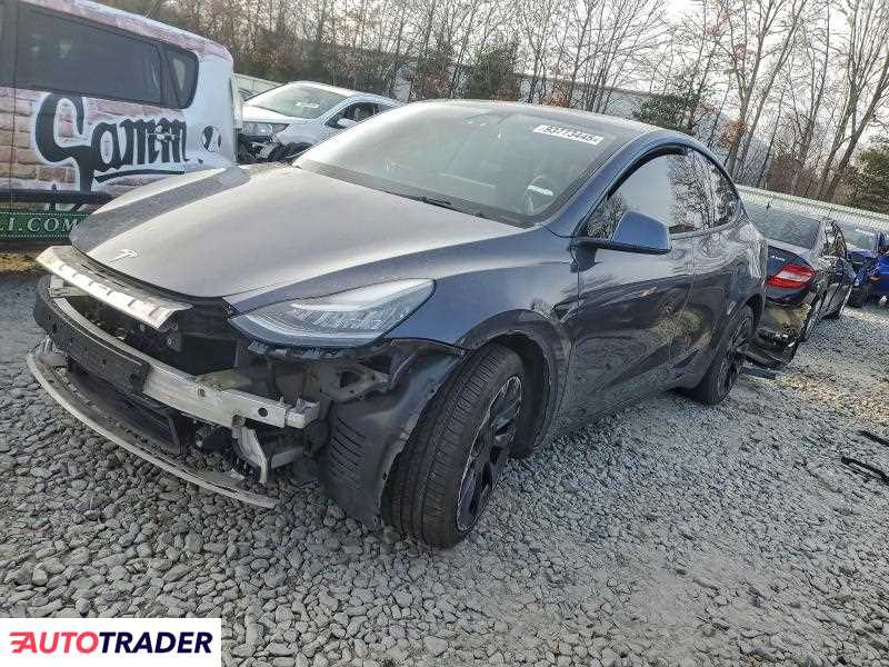 Tesla Model Y 2021