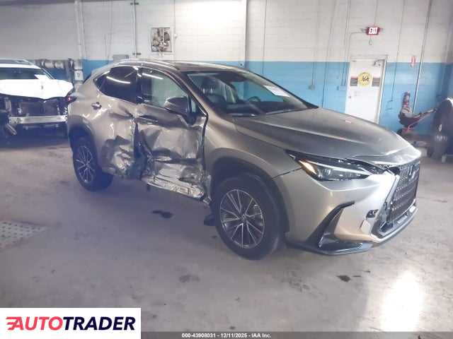 Lexus NX 2024 2