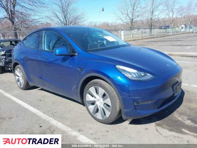 Tesla Model Y 2020 Tesla Model Y 2020