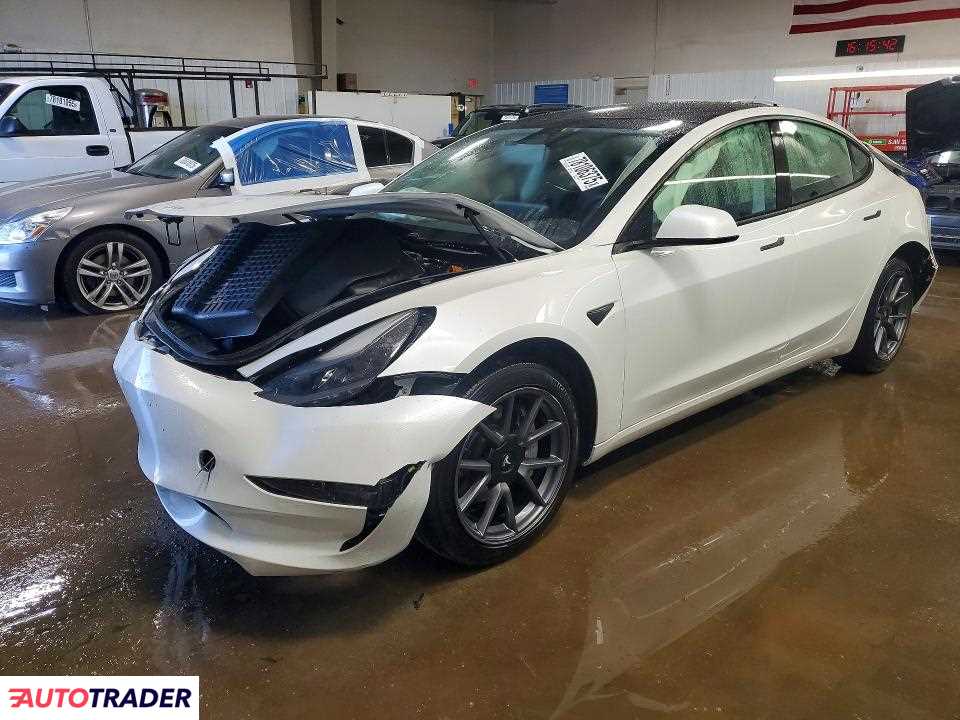 Tesla Model 3 2021