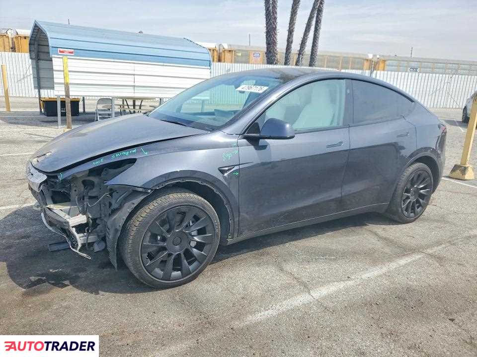Tesla Model Y 2024