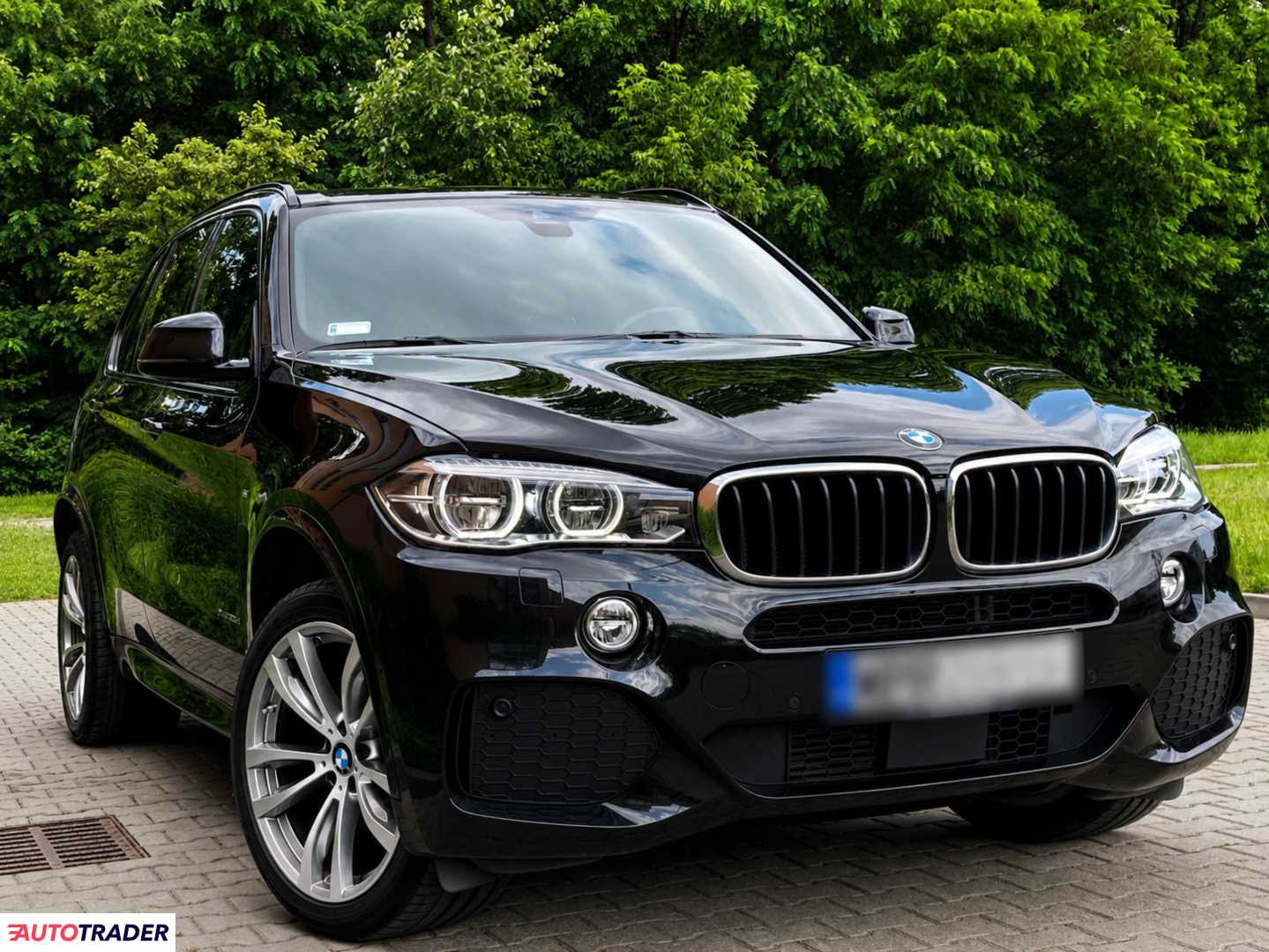BMW X5 2018 2.0 231 KM