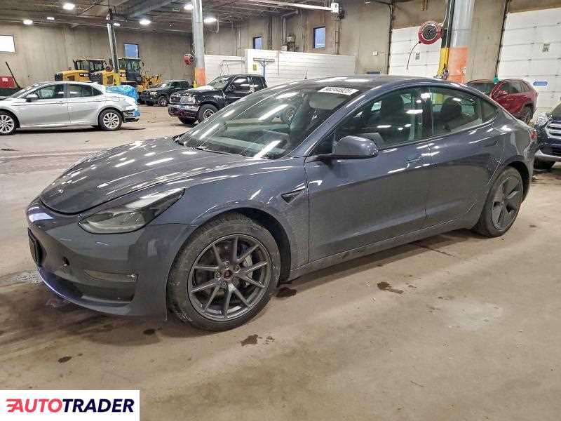Tesla Model 3 2021