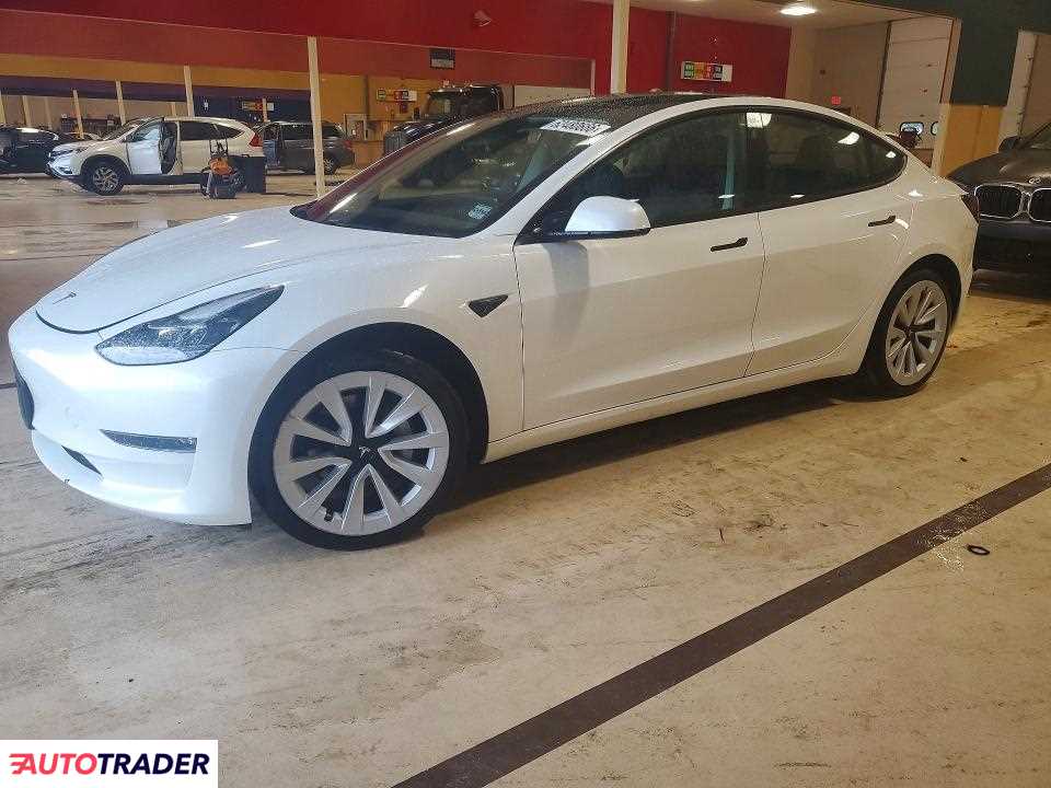 Tesla Model 3 2021
