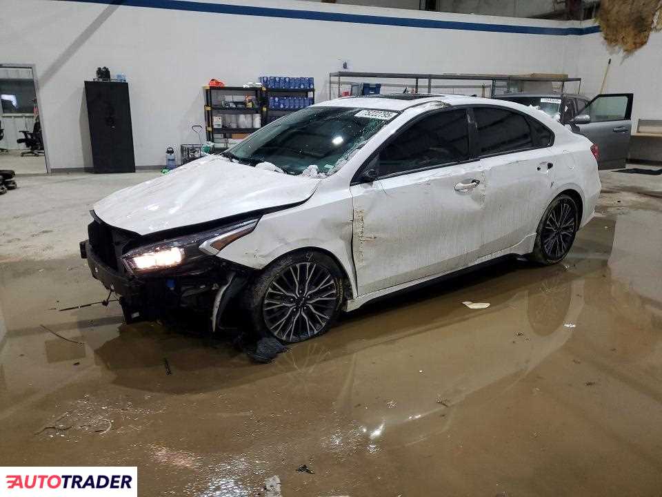 Kia Pozostałe 2024 2