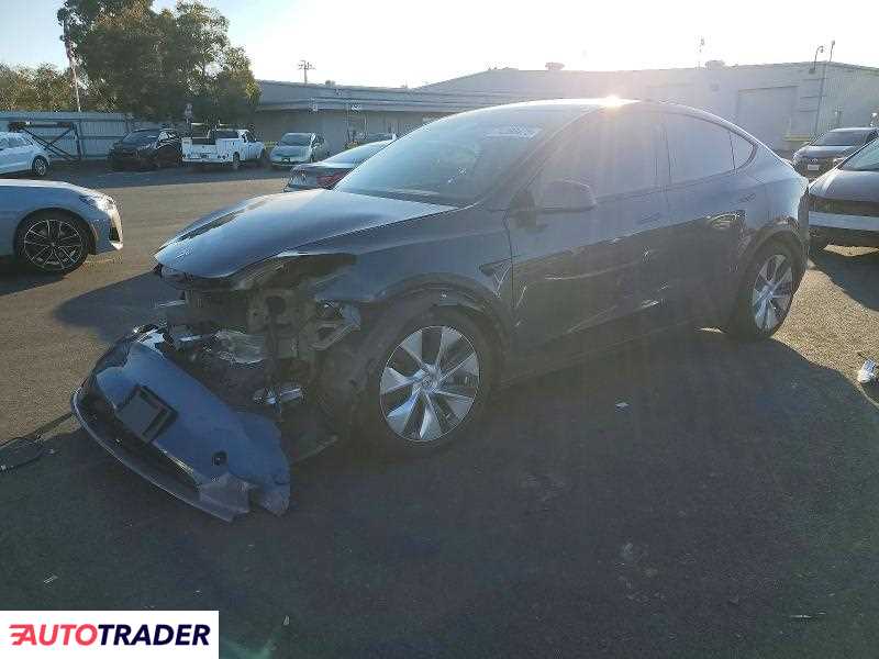 Tesla Model Y 2021