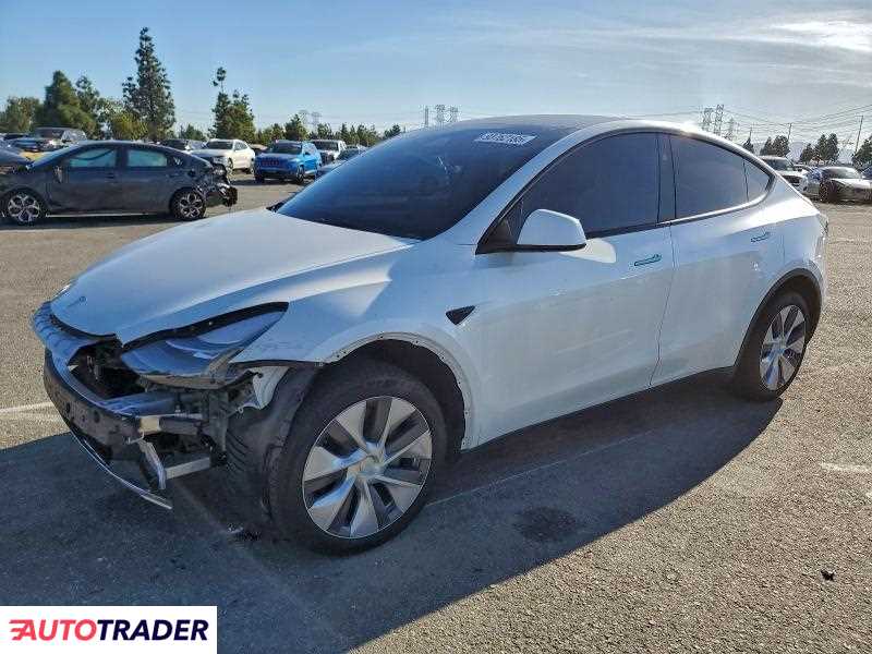 Tesla Model Y 2024