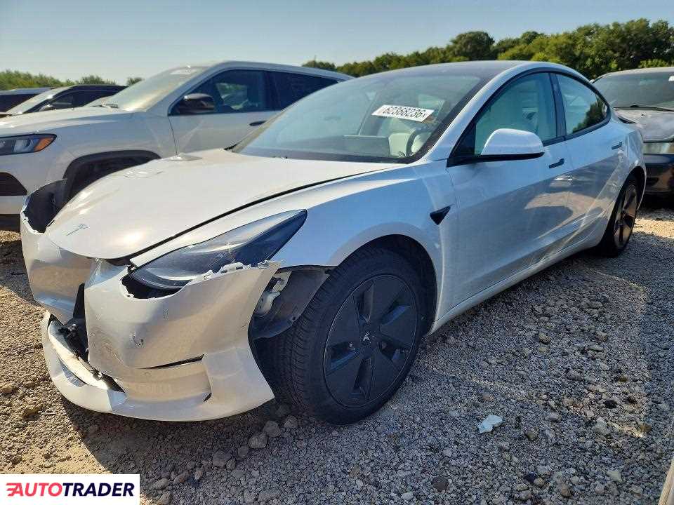 Tesla Model 3 2021