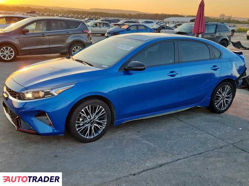 Kia Pozostałe 2024 2