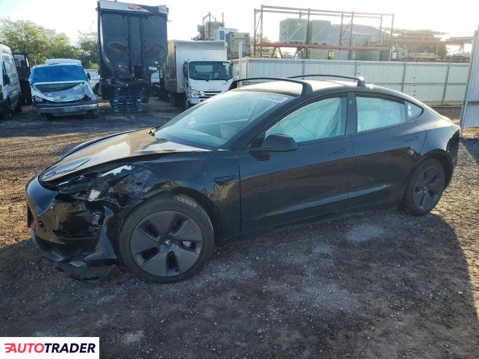 Tesla Model 3 2021