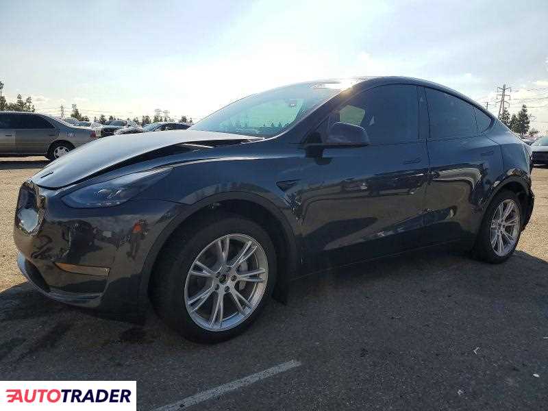 Tesla Model Y 2024