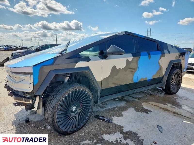 Tesla Pozostałe 2024