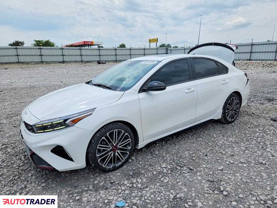 Kia Pozostałe 2023 1