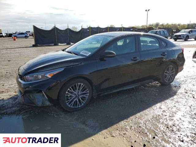 Kia Pozostałe 2024 2