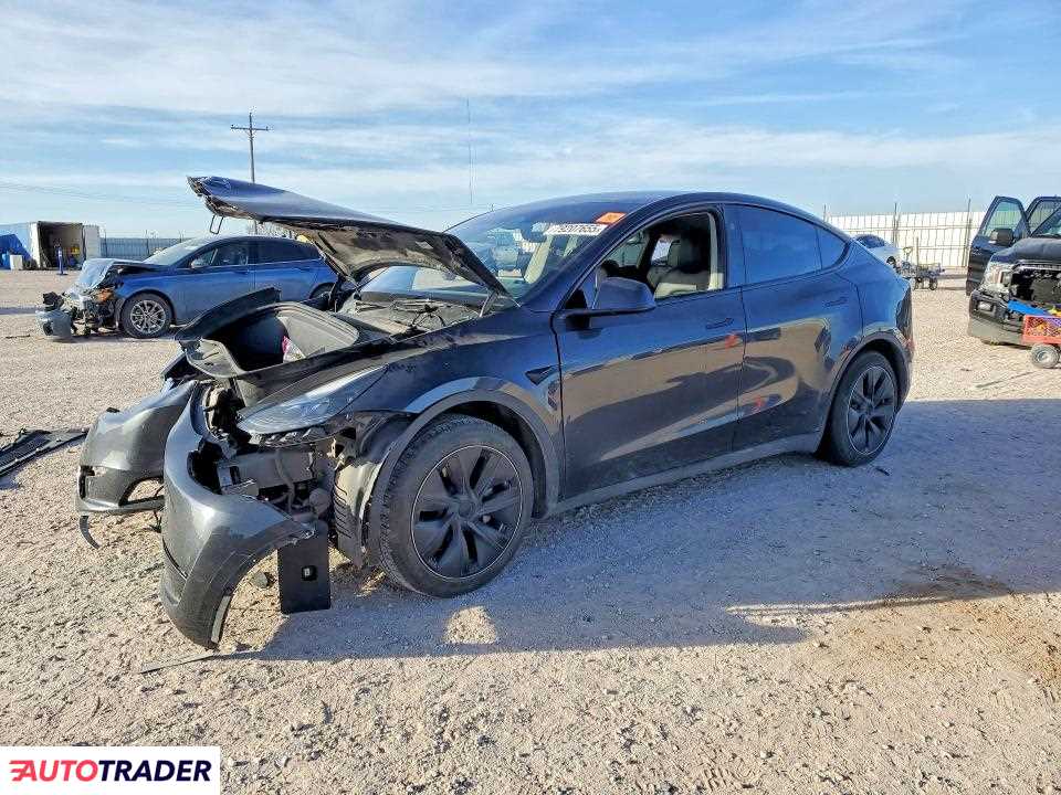Tesla Model Y 2024
