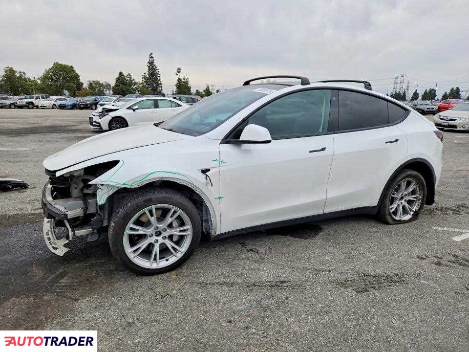 Tesla Model Y 2021