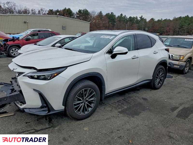 Lexus NX 2024 2