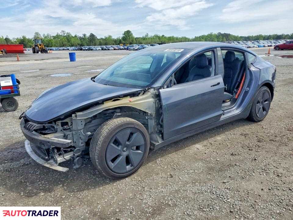 Tesla Model 3 2021