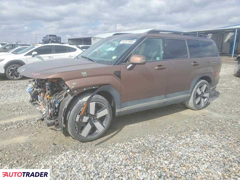 Hyundai Santa Fe 2024 1