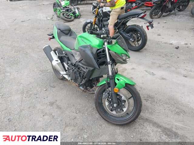 Kawasaki ER 2024