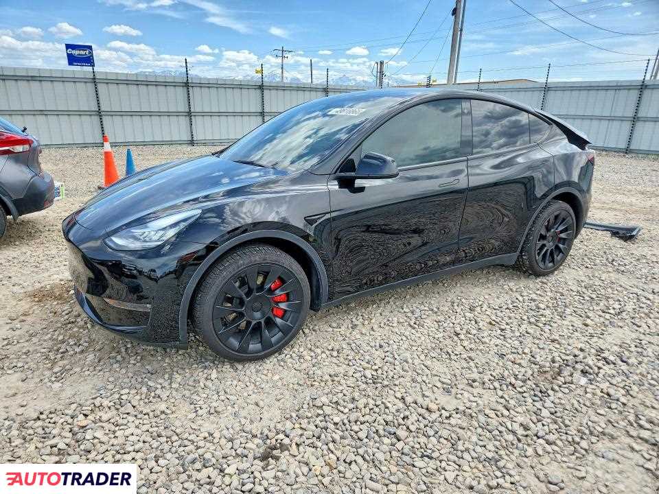 Tesla Model Y 2021