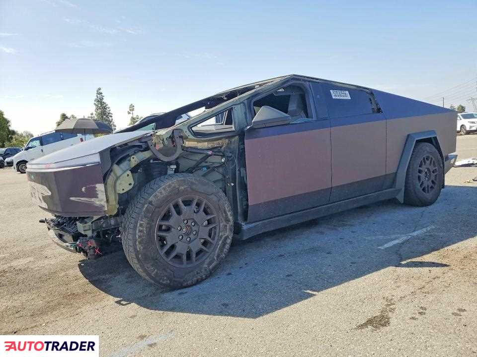 Tesla Pozostałe 2024