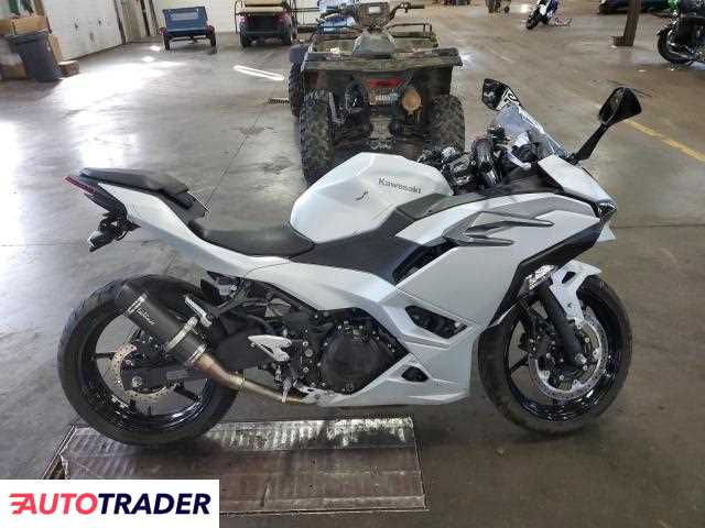 Kawasaki Pozostałe 2024 Kawasaki Pozostałe 2024