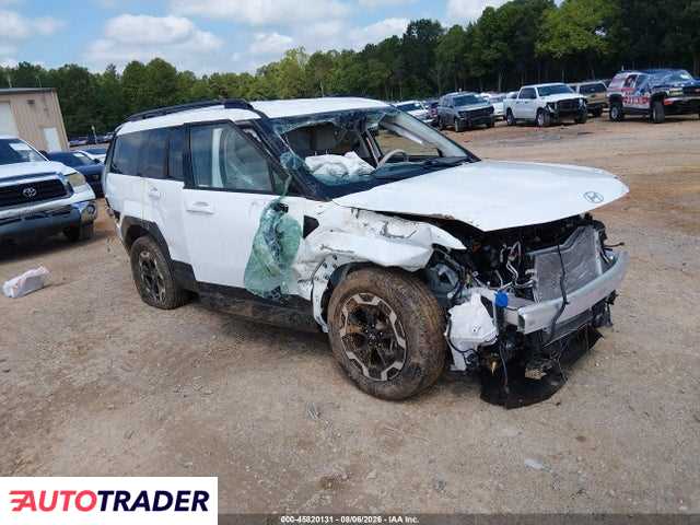 Hyundai Santa Fe 2024 2