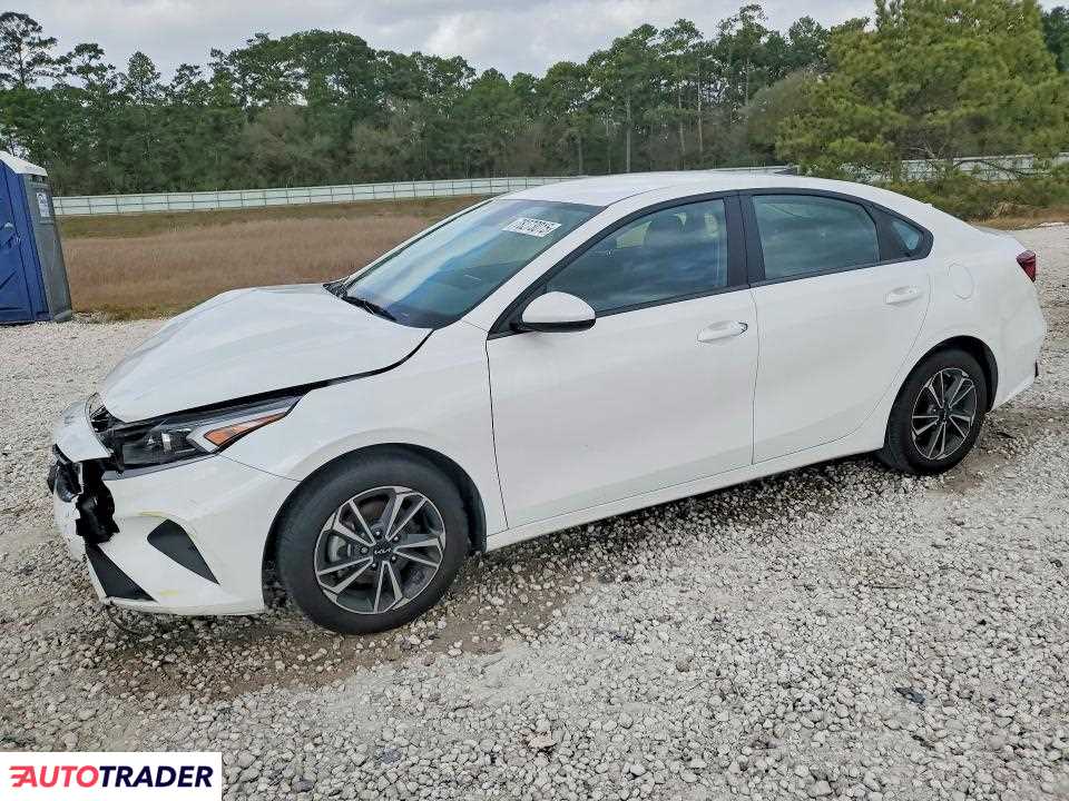 Kia Pozostałe 2024 2
