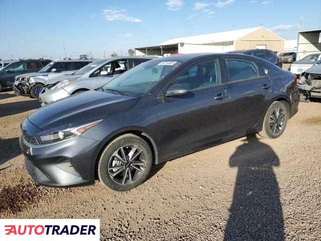 Kia Pozostałe 2024 2