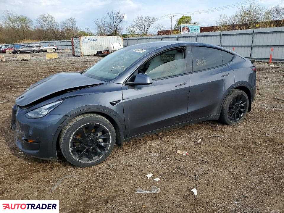 Tesla Model Y 2021