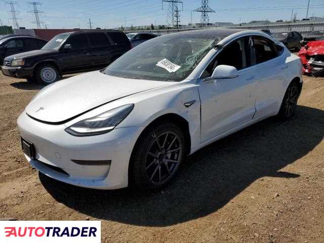 Tesla Model 3 2019