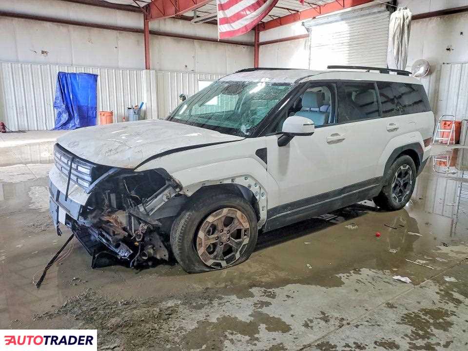 Hyundai Santa Fe 2024 2