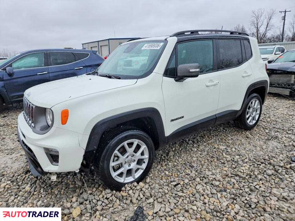 Jeep Renegade 2021 1