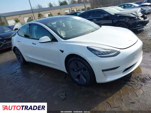 Tesla Model 3 2021