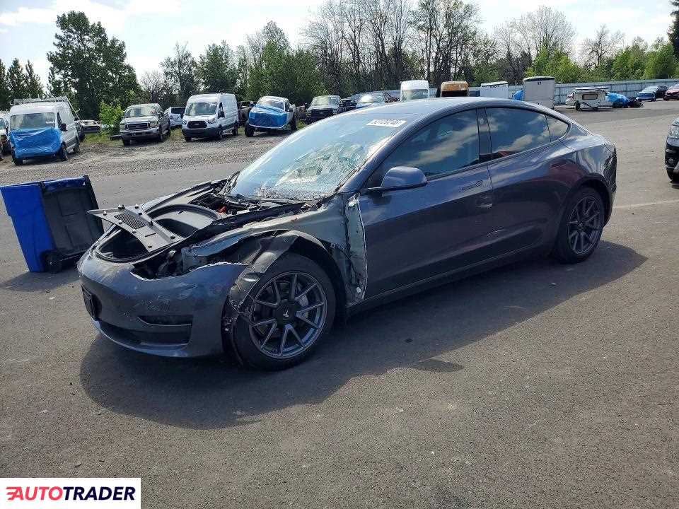 Tesla Model 3 2022