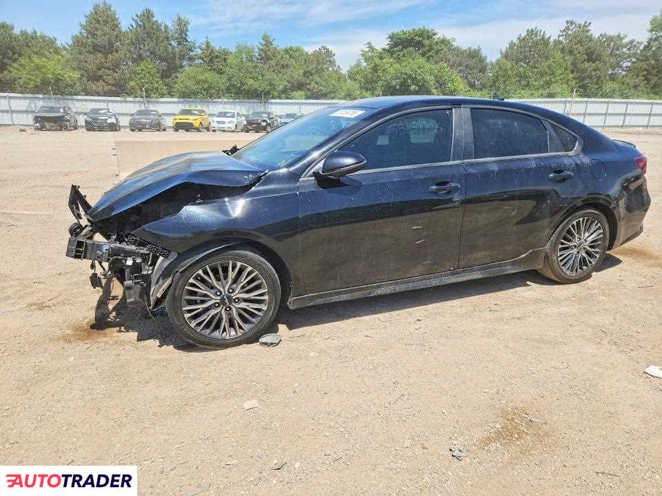 Kia Pozostałe 2024 2