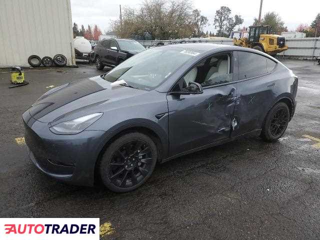 Tesla Model Y benzyna 2023r. (WOODBURN)