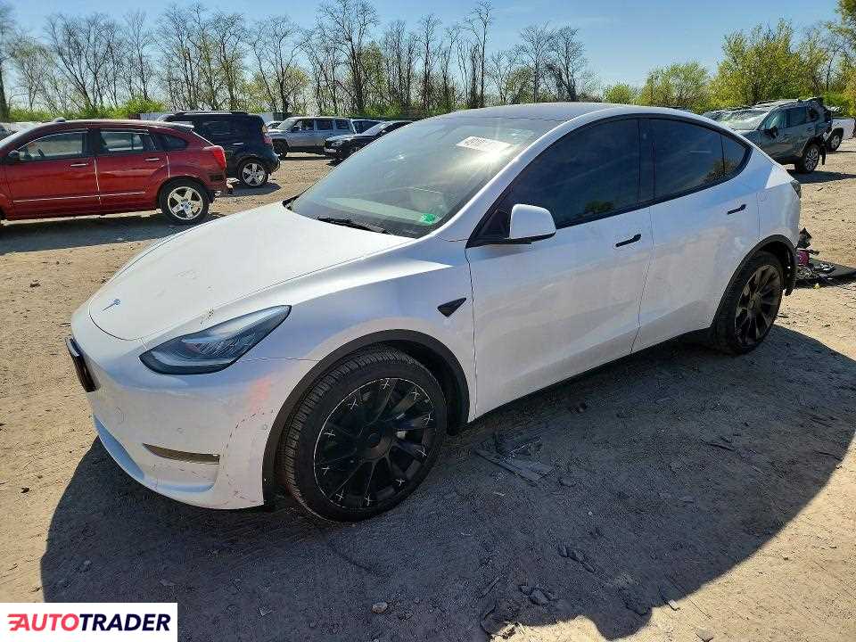 Tesla Model Y 2021