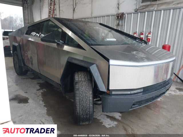 Tesla Pozostałe 2025