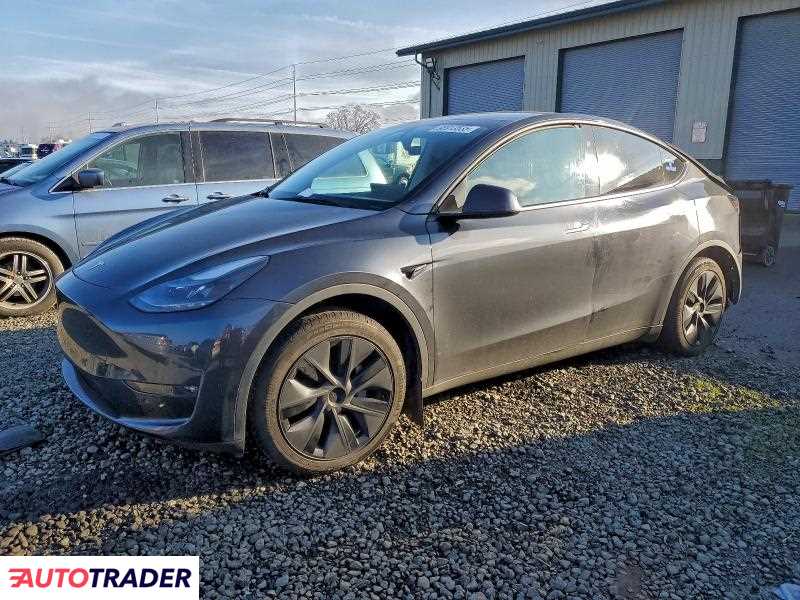 Tesla Model Y 2025