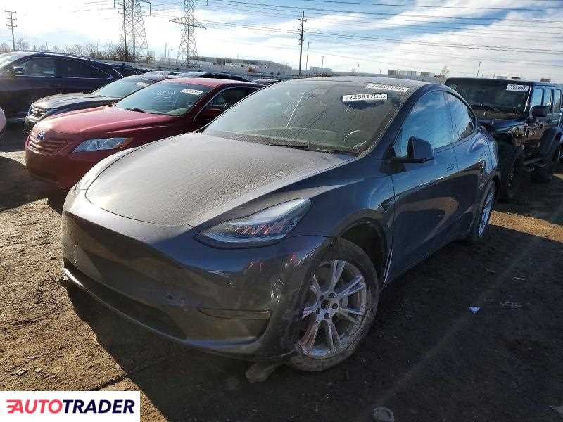 Tesla Model Y 2020