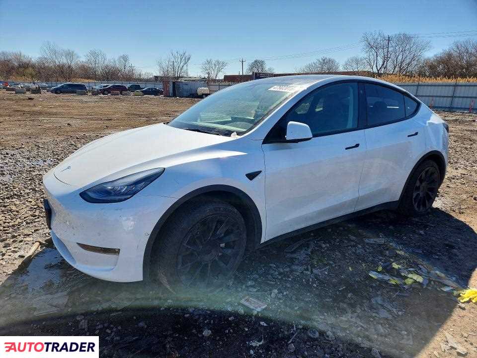 Tesla Model Y 2021