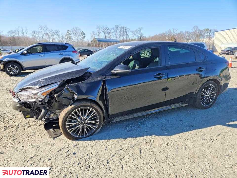 Kia Pozostałe 2024 2